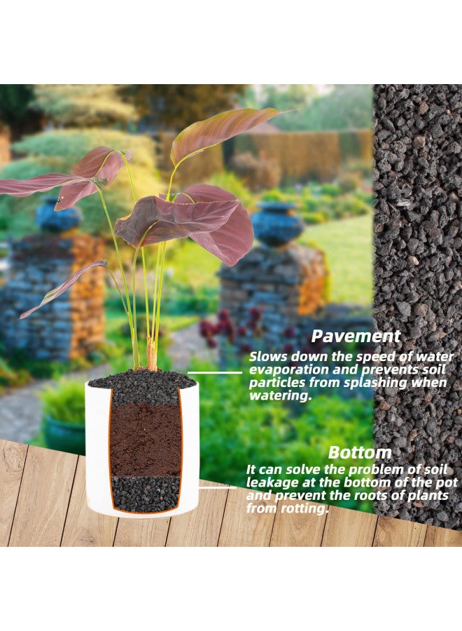 Anothera 18LB Black Horticultural Lava Rock Soil for Decorative Landscaping Bonsai, Cacti, Succulents Plants Top Dressing for Release Excess Water - Image 1