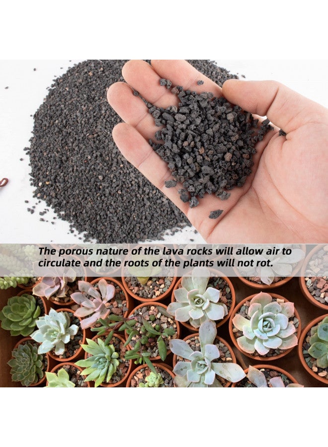 Anothera 18LB Black Horticultural Lava Rock Soil for Decorative Landscaping Bonsai, Cacti, Succulents Plants Top Dressing for Release Excess Water - Image 2
