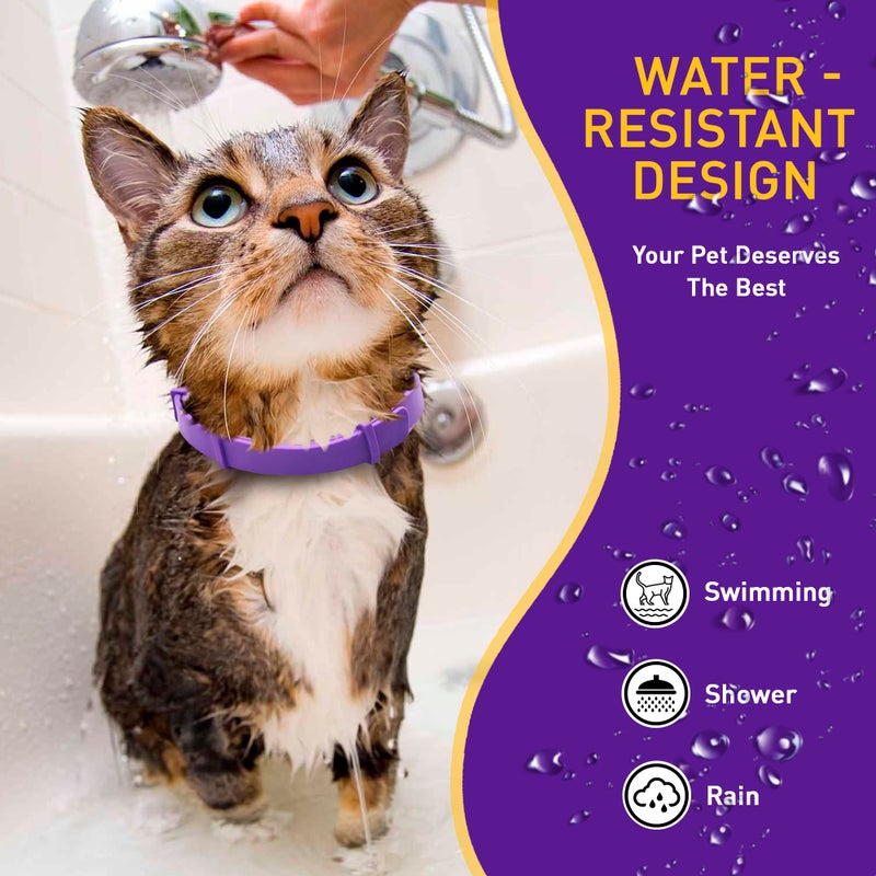 PetAtlas بياتلاس 4 عبوة طوق مهدئ للقطط – طوق مهدئ للقطط يحتوي على الفيرومونات لتخفيف قلق القطط والتوتر – أطواق مهدئة قابلة للتعديل مقاومة للماء مع خاصية الانفصال السريع ومكونات طبيعية وفيرومونات ذات تأثير سريع - Image 5