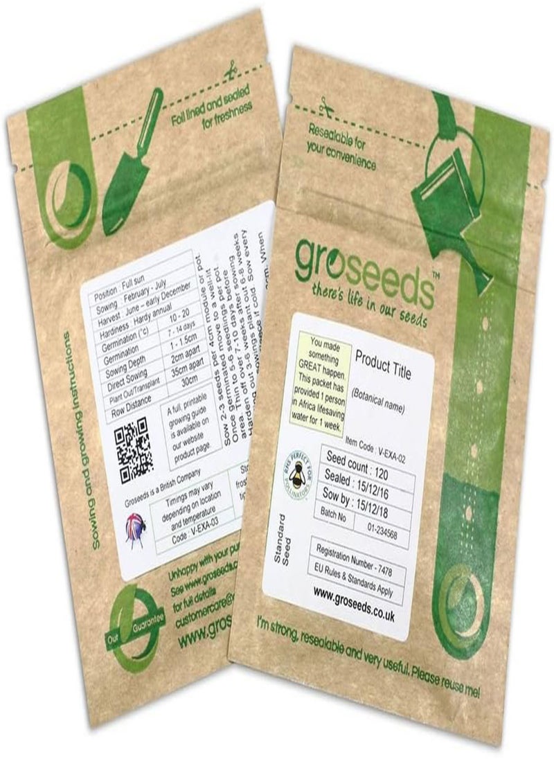 GGOOT - Vegetable Seeds, Carrot Resistafly F1, OV CAR 01, 250 Seeds Minimum Per Packet. - Image 1