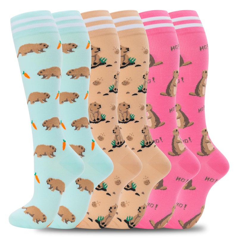 fenglaoda Compression Socks for Women Men Support Circulation 6 Pairs Socks For Nurse, Travel, Flight - Image 1