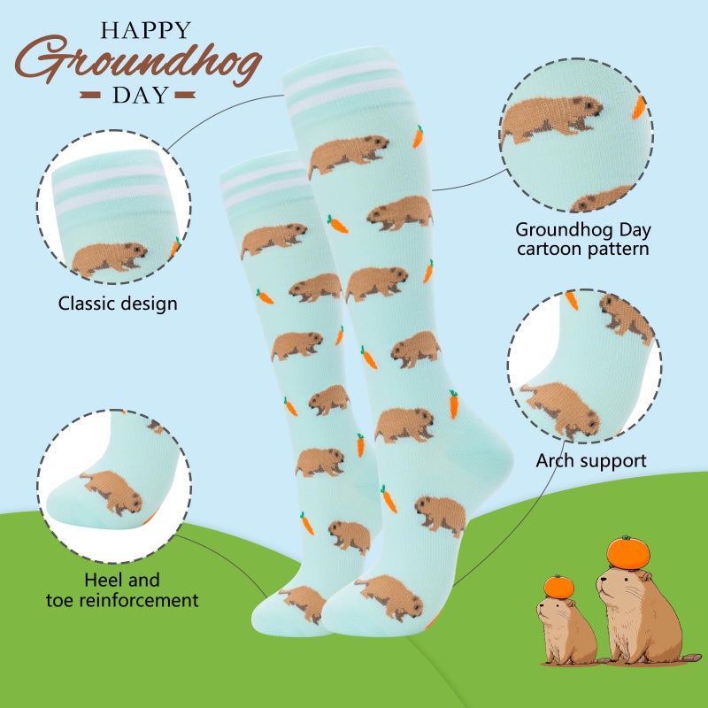 fenglaoda Compression Socks for Women Men Support Circulation 6 Pairs Socks For Nurse, Travel, Flight - Image 2
