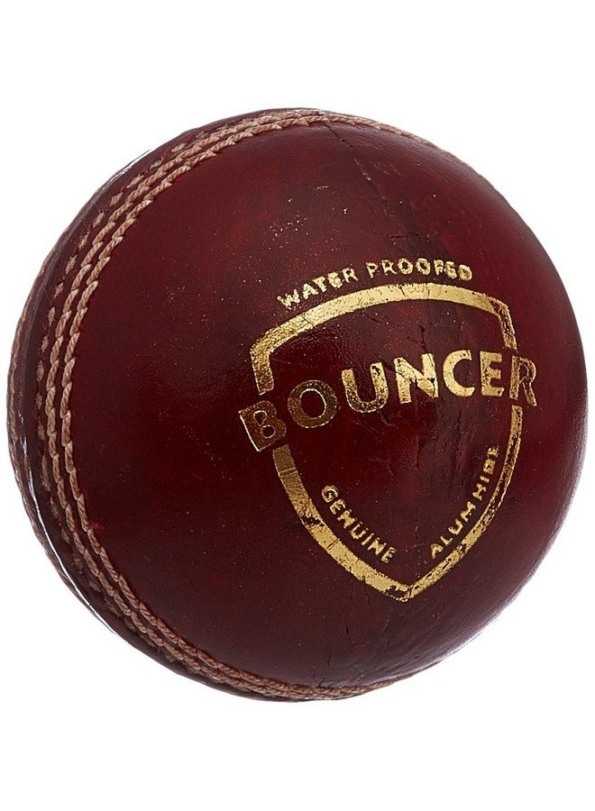 SG Bouncer Leather Ball (Red) , Standard Size - Image 1
