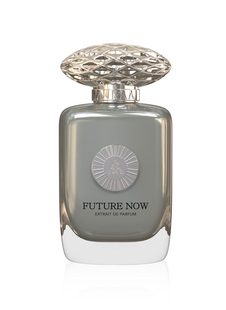 Future Now Extrait de Parfum 100 ml - pzsku/Z69F6AE2E14E692DB9F5AZ/45/_/1722415570/401030eb-bfa9-4eda-9552-0183309c38f5