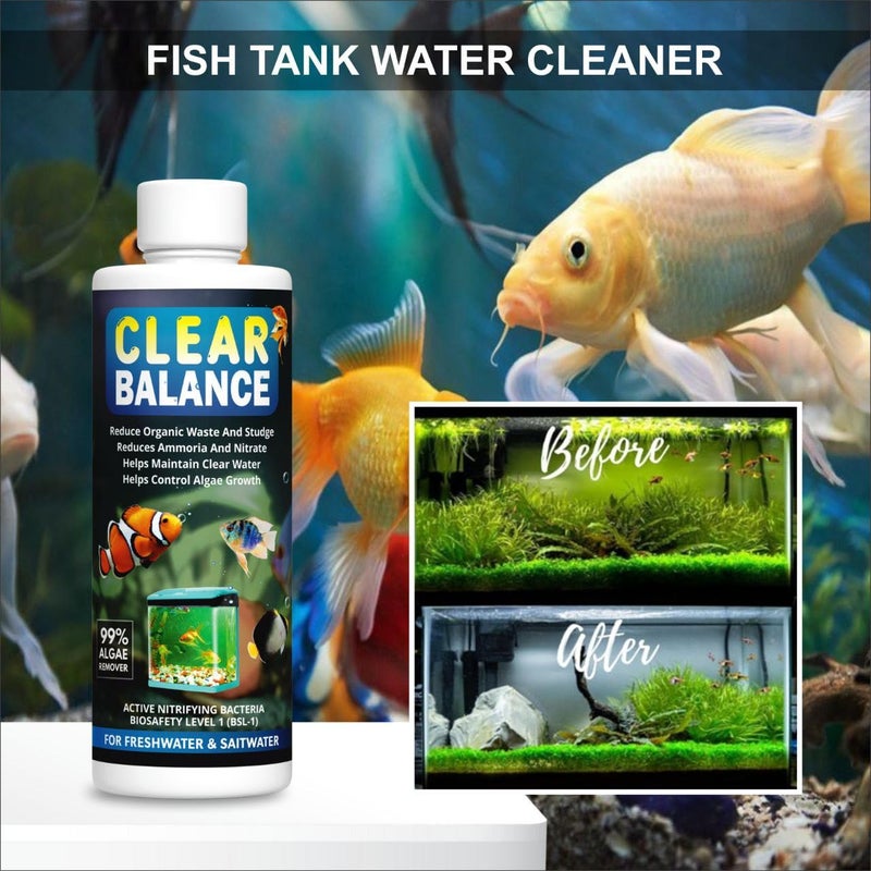 Scentora Clear Balance Fish Tank Water Purifier Algae Remover, Moss Remover, Aquarium and Fish Tank Cleaner, 100% Fish Fish Safe Aquarium Tank Biological Water Purifier Agent (200ml Each) (800ml) - Image 2