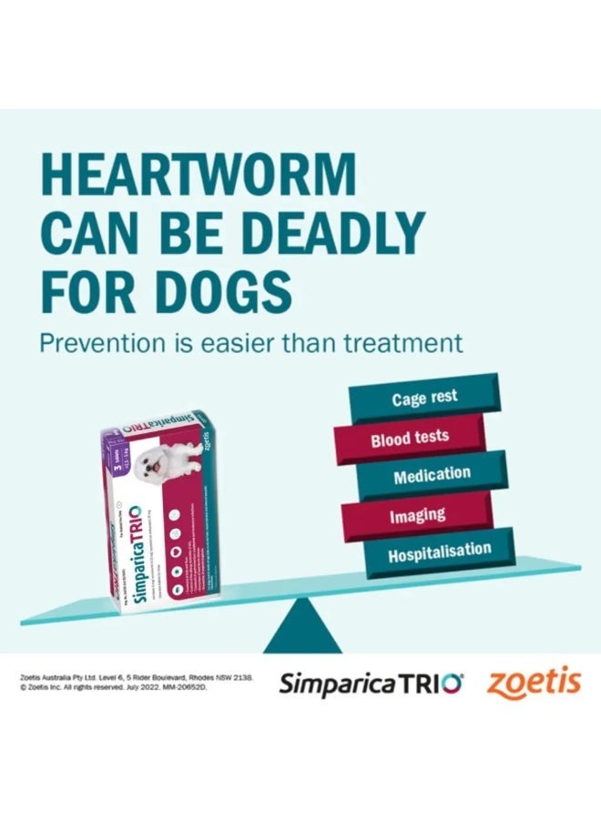 Simparica Trio Zoetis Simparica Trio for Dogs 2.5–5 kg – Complete Flea, Tick & Heartworm Protection – All-in-One Chewable Tablet - Image 2