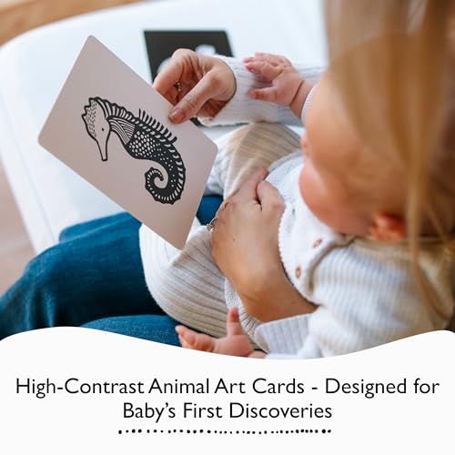 Wee Gallery Art Cards for Baby, Durable High Contrast Black and White Animal Flashcards for Newborns, Brain Development,Tummy Time Essentials for Infant and Toddler - Black and White Animals - Image 2