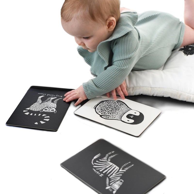 Wee Gallery Art Cards for Baby, Durable High Contrast Black and White Animal Flashcards for Newborns, Brain Development,Tummy Time Essentials for Infant and Toddler - Black and White Animals - Image 5
