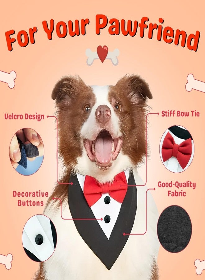 Western Era Dog Tuxedo Collar - Stylish Pet Formal Wear for Dogs & Cats | Comfortable for Weddings, Parties, Photoshoots, Events, Celebrations | Bowtie Design for a Dapper Look (Black & Red, Small) - Image 4