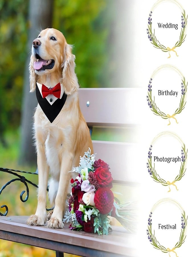 Western Era Dog Tuxedo Collar - Stylish Pet Formal Wear for Dogs & Cats | Comfortable for Weddings, Parties, Photoshoots, Events, Celebrations | Bowtie Design for a Dapper Look (Black & Red, Small) - Image 5