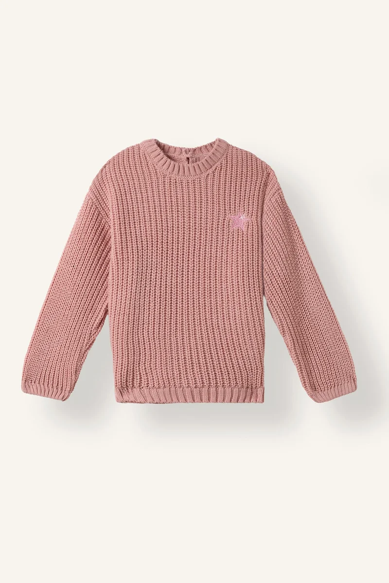 ديفاكتو Baby Girl Regular Fit Embroidered Crew Neck Pullover