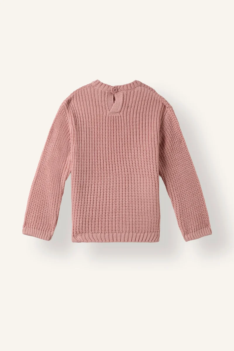 ديفاكتو Baby Girl Regular Fit Embroidered Crew Neck Pullover