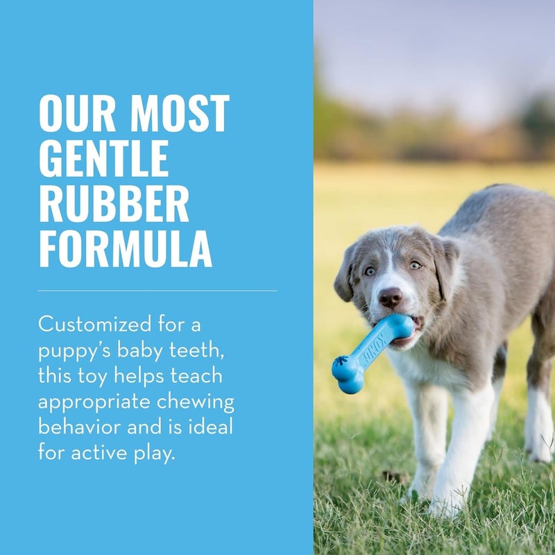 KONG Puppy Goodie Bone - Teething Rubber Treat Dispensing Dog Toy for Small Puppies - Image 2
