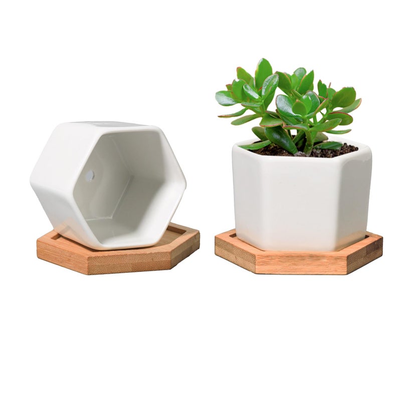 T4U Small White Succulent Planter Pots with Bamboo Tray Hexagon Set of 2, Geometric Ceramic Cactus Plant Holder, Succulent Plant Gifts for Gardener Women Coworker, Home Office Table Desk Decoration - Image 1