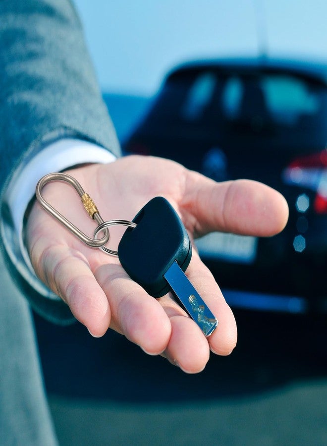 Skylety 10 Pieces Mini Titanium Locking Clips D-Ring Locking Snap Keychain Keyring Screw Lock Buckle for Outdoor Indoor Dog Tags Use, Lightweight and Sturdy - Image 4