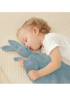 Baby Pure Cotton Sleeping Doll And Cloth Towel with Sensory Teether- Blue