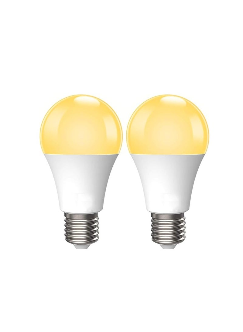 SUN SHINE LED Light Bulbs - Image 1