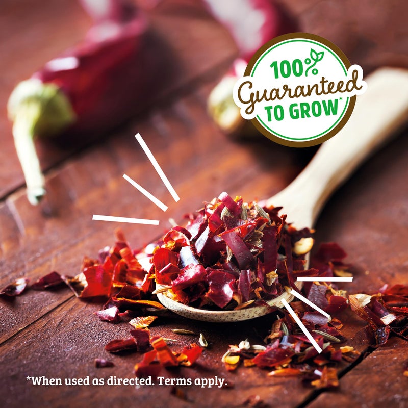 Back to the Roots Non-GMO Chili Planter, Grow Organic Chili Peppers Year Round, Windowsill Grow Kit, Top Gardening Gift, Holiday Gift, & Unique Gift - Image 2