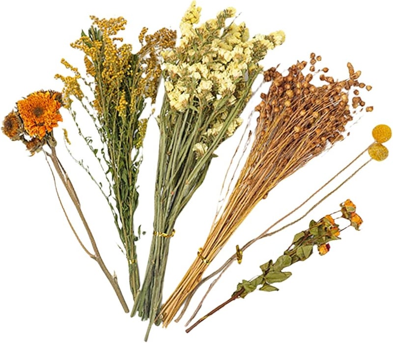 الفراش الطبيعي للهامستر، زهور، ديكور موطن شنشيلة، بطانة قفص الأرنب والقنفذ ملون ب - Image 2