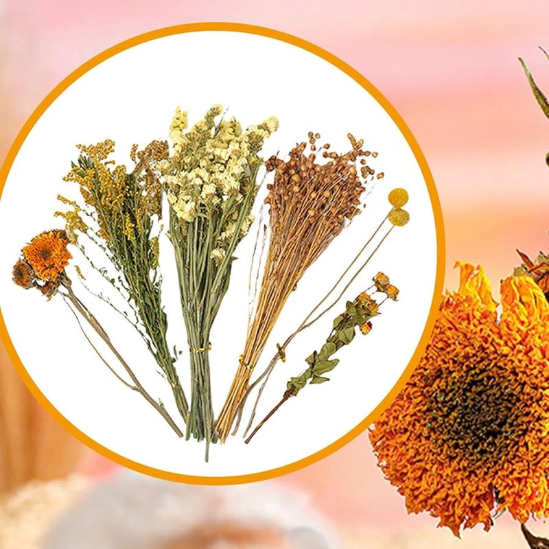 الفراش الطبيعي للهامستر، زهور، ديكور موطن شنشيلة، بطانة قفص الأرنب والقنفذ ملون ب - Image 4