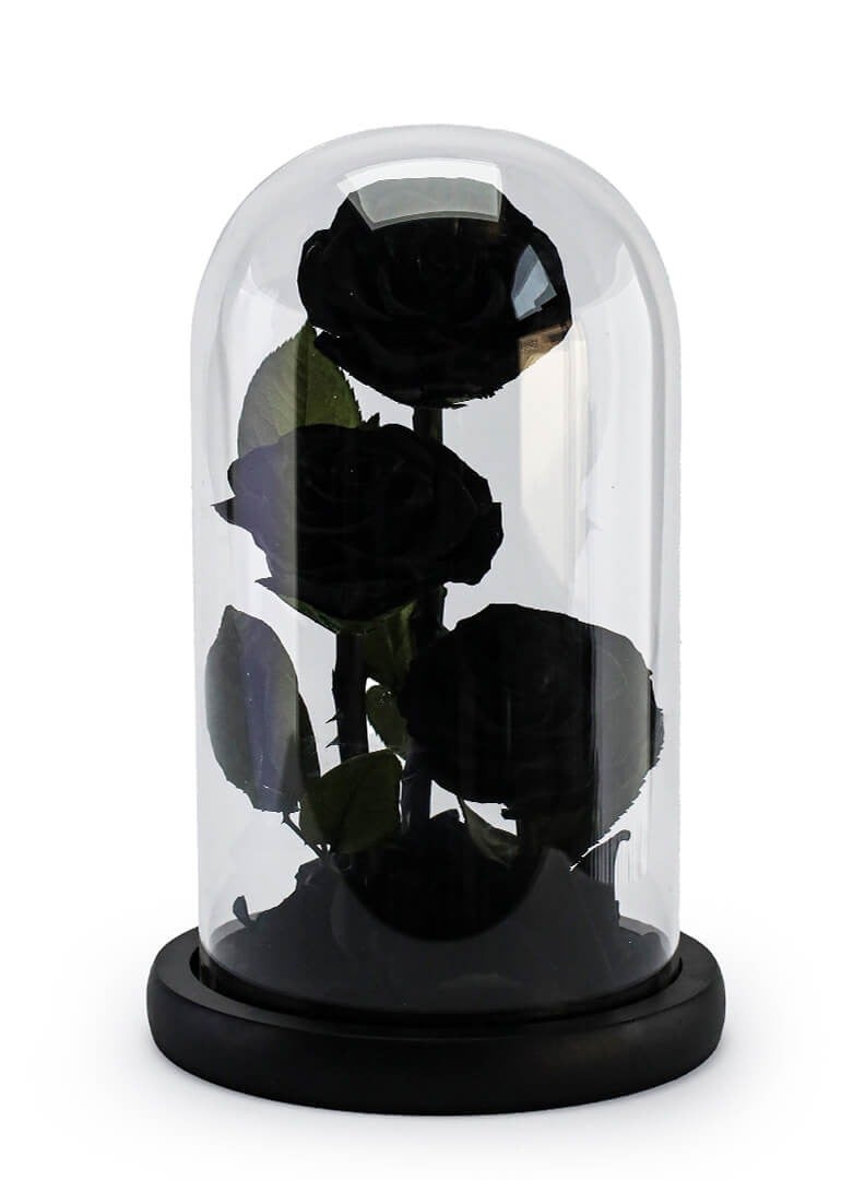 Si Bonne Preserved Forever Black Rose in Luxury Glass Dome 14*23 - Eternal Flower Gift for Women's Day, Valentine's Day, Wedding Anniversary, and Birthday - Image 1
