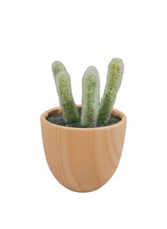 Generic Artificial Small  Potted Cactus  Green  - Image 1