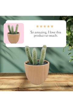 Generic Artificial Small  Potted Cactus  Green  - Image 2