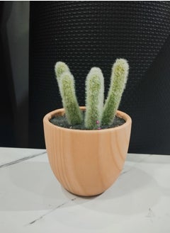 Generic Artificial Small  Potted Cactus  Green  - Image 5