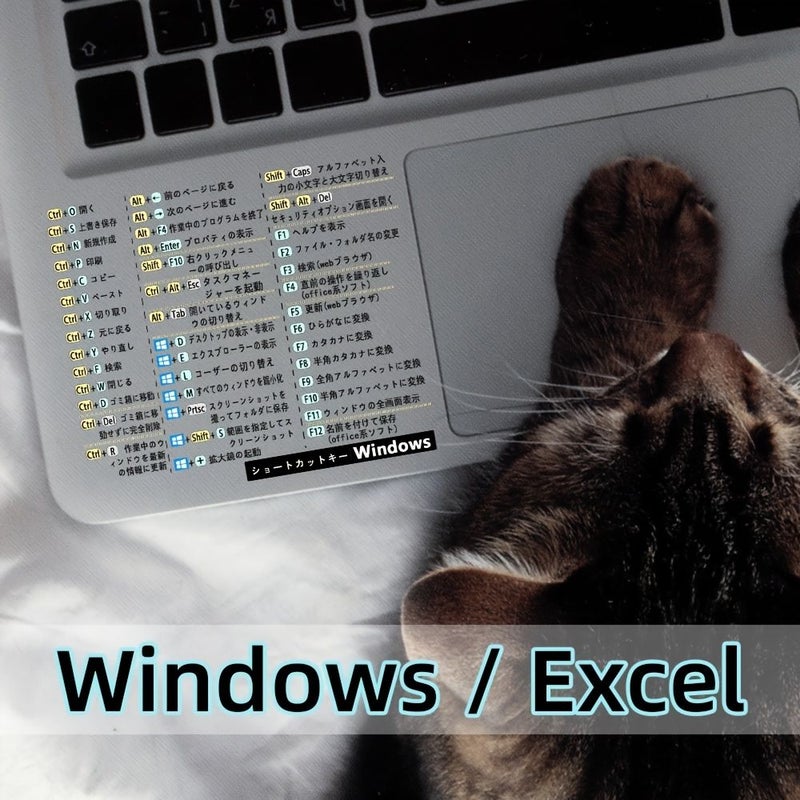 مجموعة مكونة من 2 ملصق قابل لإعادة الاستخدام ذاتي اللصق لاختصارات لوحة المفاتيح (Hotkeys 005) مناسبة لأنظمة Windows وWord وExcel، مصنوعة من مادة PVC اليابانية غير اللامعة، تتميز بدليل مرجعي سريع بتصميم واضح باللون الأبيض والشفاف، مع التصاق متين. - Image 3