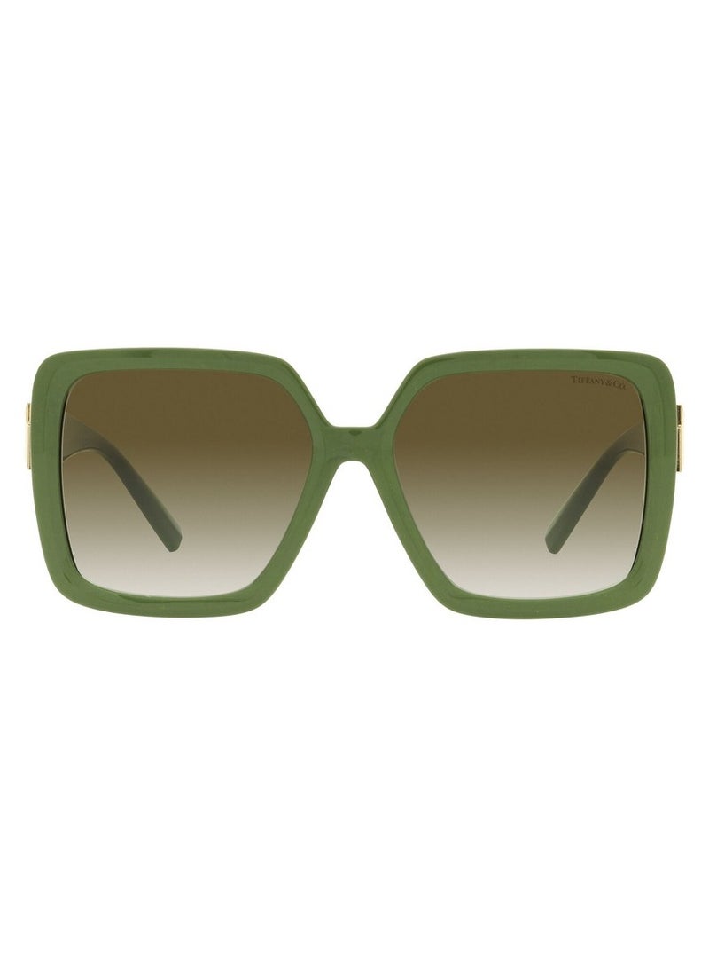 تيفاني نظارة شمسية نسائية TF4206U/8368/7Z - Image 2