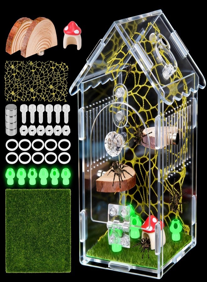 Hysagtek Jumping Spider Enclosure - Acrylic Arboreal Tarantula Enclosure Small Reptile Terrarium with Magnetic Door, Clear Jumping Spider Enclosure Accessories - Image 1