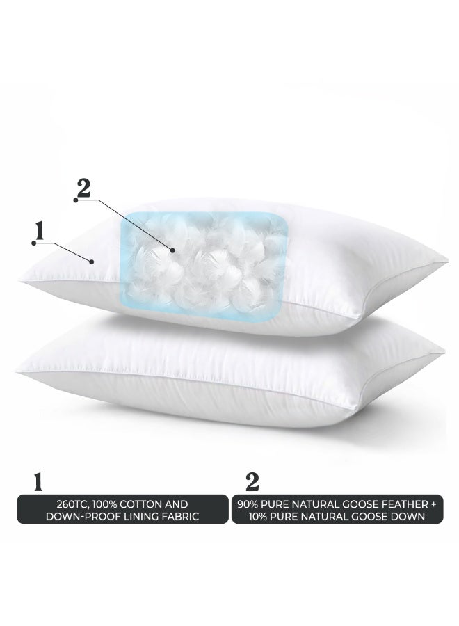 VANTAGE COMFORTS Goose Feather Down Pillow Queen Size 50 x 70cm| 90% Goose Feather + 10% Goose Down | Soft Backrest Pillow | Hotel Luxury Sleeping Pillow | Natural Cotton Down-Proof Cushion for All - Image 4