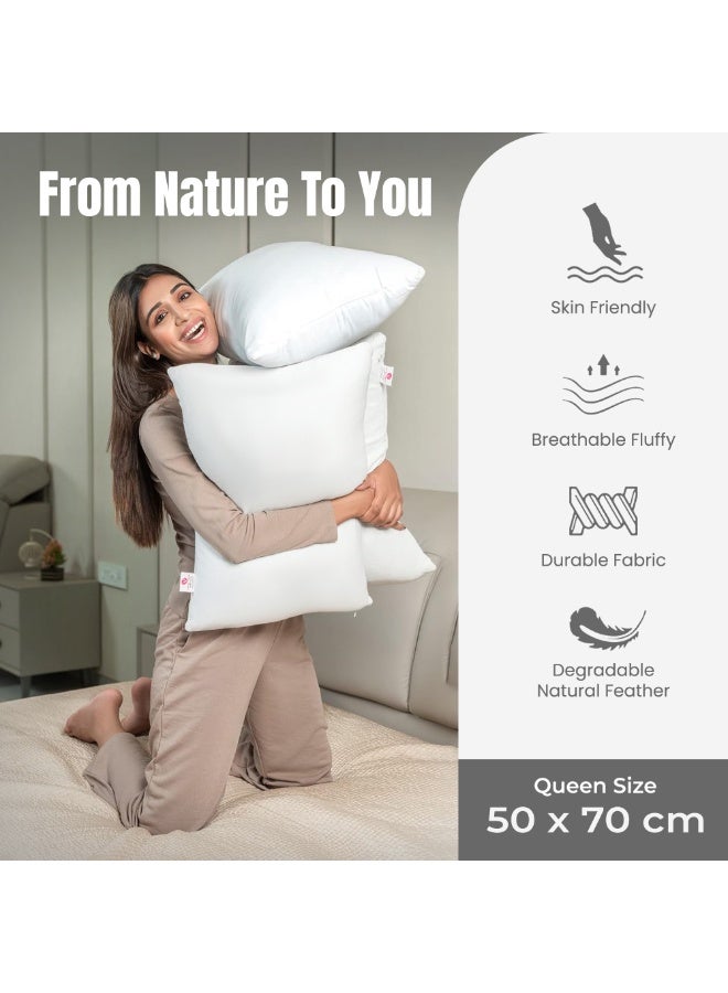 VANTAGE COMFORTS Goose Feather Down Pillow Queen Size 50 x 70cm| 90% Goose Feather + 10% Goose Down | Soft Backrest Pillow | Hotel Luxury Sleeping Pillow | Natural Cotton Down-Proof Cushion for All - Image 2