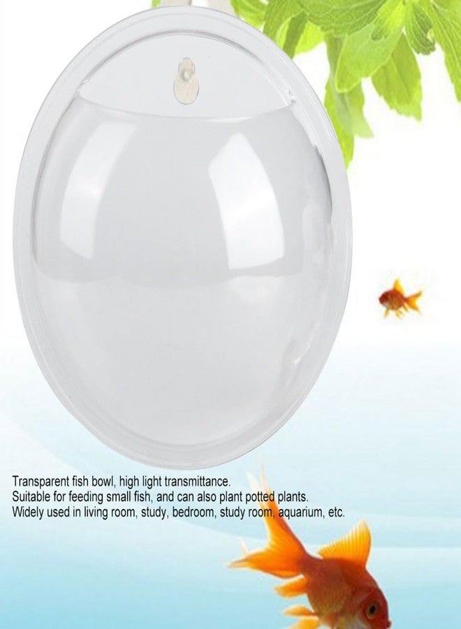 Chiffonade 5.9 Inch Transparent Acrylic Wall Mounted Fish Bowl Space-Saving Leak-Proof Hanging Aquarium for Small Fish Plants Home Office Decoration - Image 5