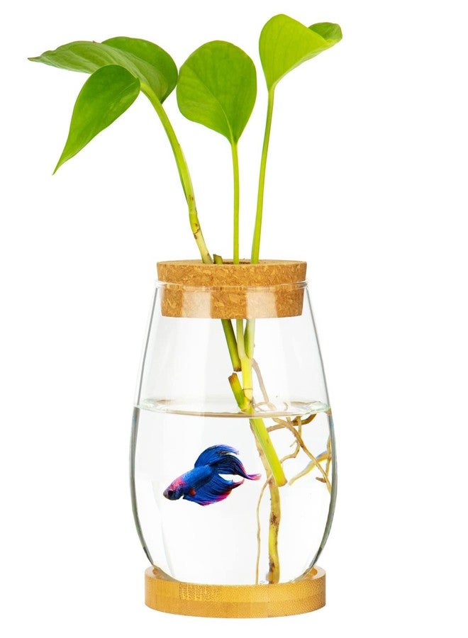 CUSNESTAL Desktop Fish Bowl Clear Glass Small Fish Tank with Wood Lid and Bamboo Stand for Betta Fish Plants Terrarium Home Office Decoration Gifts - Image 1