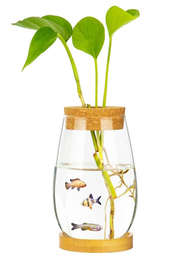 CUSNESTAL Desktop Fish Bowl Clear Glass Small Fish Tank with Wood Lid and Bamboo Stand for Betta Fish Plants Terrarium Home Office Decoration Gifts - Image 2