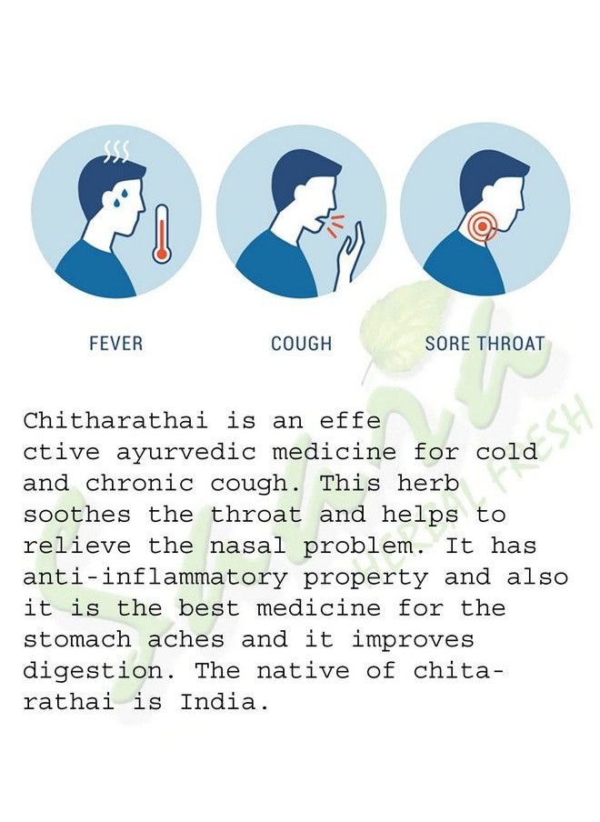 Saara - Herbal Fresh Sitharathai Powder Kulanjan Lesser Galangal Chitharathai Powder Helps To Relieve The Nasal Problem 100G (Pack Of 1 X 100G) - Image 1