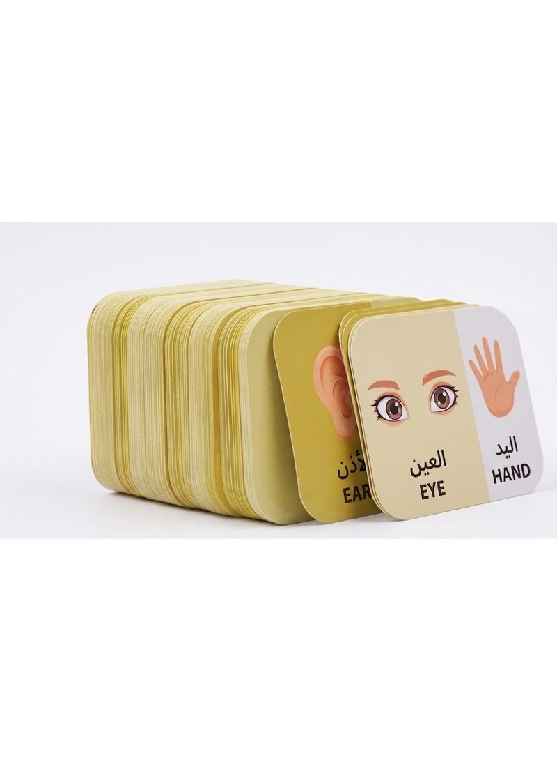 NILCO Gibo Educational Flash Cards for Learning Body Parts for Kids - Image 3