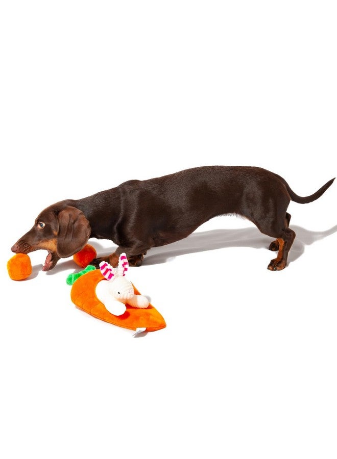 Midlee Hide a Toy Carrot Easter Dog Toy - Image 2