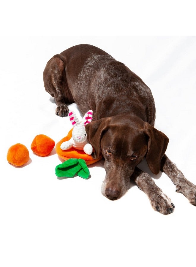 Midlee Hide a Toy Carrot Easter Dog Toy - Image 5