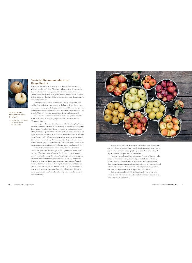 null - Fruit Trees for Every Garden: An Organic Approach to Growing Fruit from an Expert Gardener - Image 1