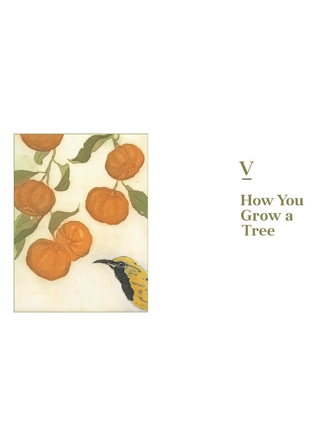 null - Fruit Trees for Every Garden: An Organic Approach to Growing Fruit from an Expert Gardener - Image 1
