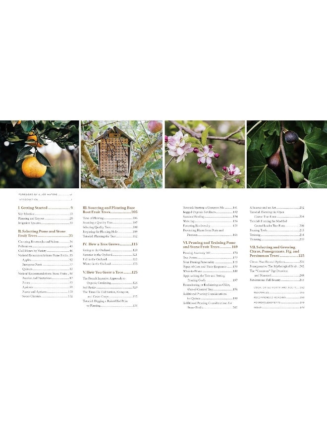 null - Fruit Trees for Every Garden: An Organic Approach to Growing Fruit from an Expert Gardener - Image 1