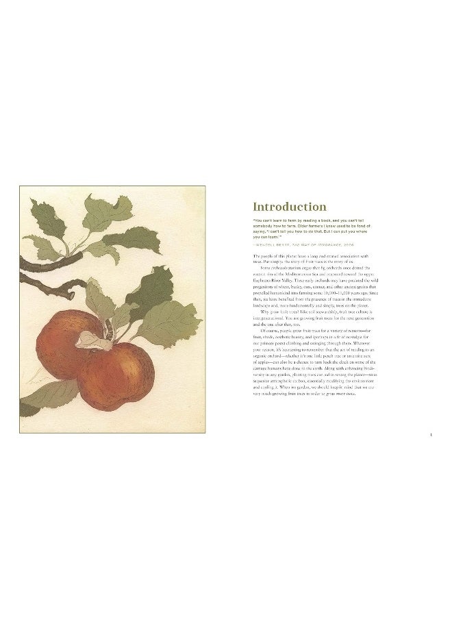 null - Fruit Trees for Every Garden: An Organic Approach to Growing Fruit from an Expert Gardener - Image 1