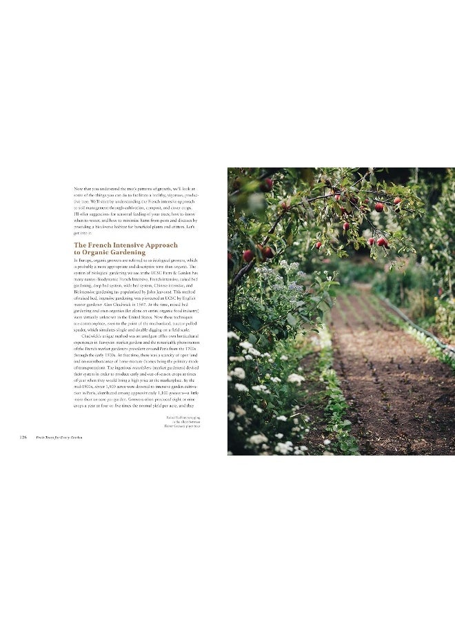 null - Fruit Trees for Every Garden: An Organic Approach to Growing Fruit from an Expert Gardener - Image 1