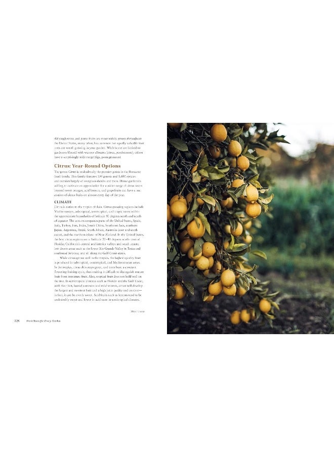 null - Fruit Trees for Every Garden: An Organic Approach to Growing Fruit from an Expert Gardener - Image 1