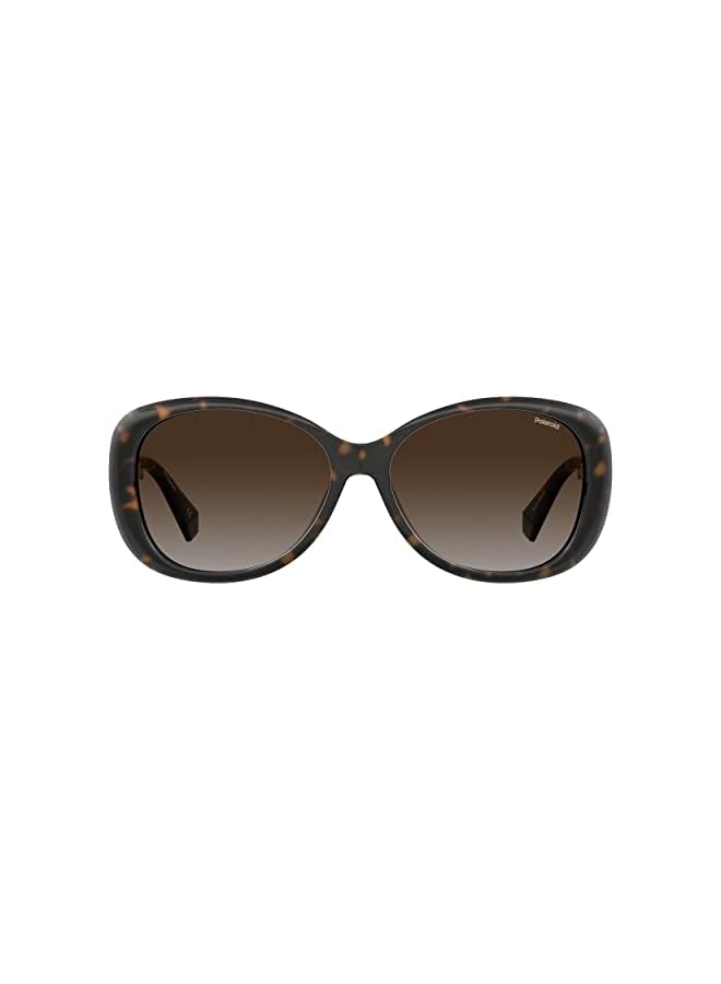 Polaroid Women's PLD 4097/S Sunglasses (pack of 1) - Image 3