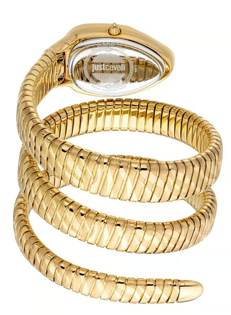 جي سي ساعة يد جست كافالي JC1L226M0035 Serpente Taglio للنساء - Image 2