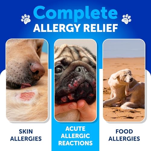 Artullano Dog Allergy Relief Chews - Itching Skin Relief for Dogs - 180 Soft Treats - Fish Oil - Omega 3 - Seasonal Allergies Pills - Skin & Coat, Anti Itch,Hot Spots Treatment - Canine Immune Health Supplement - Image 3