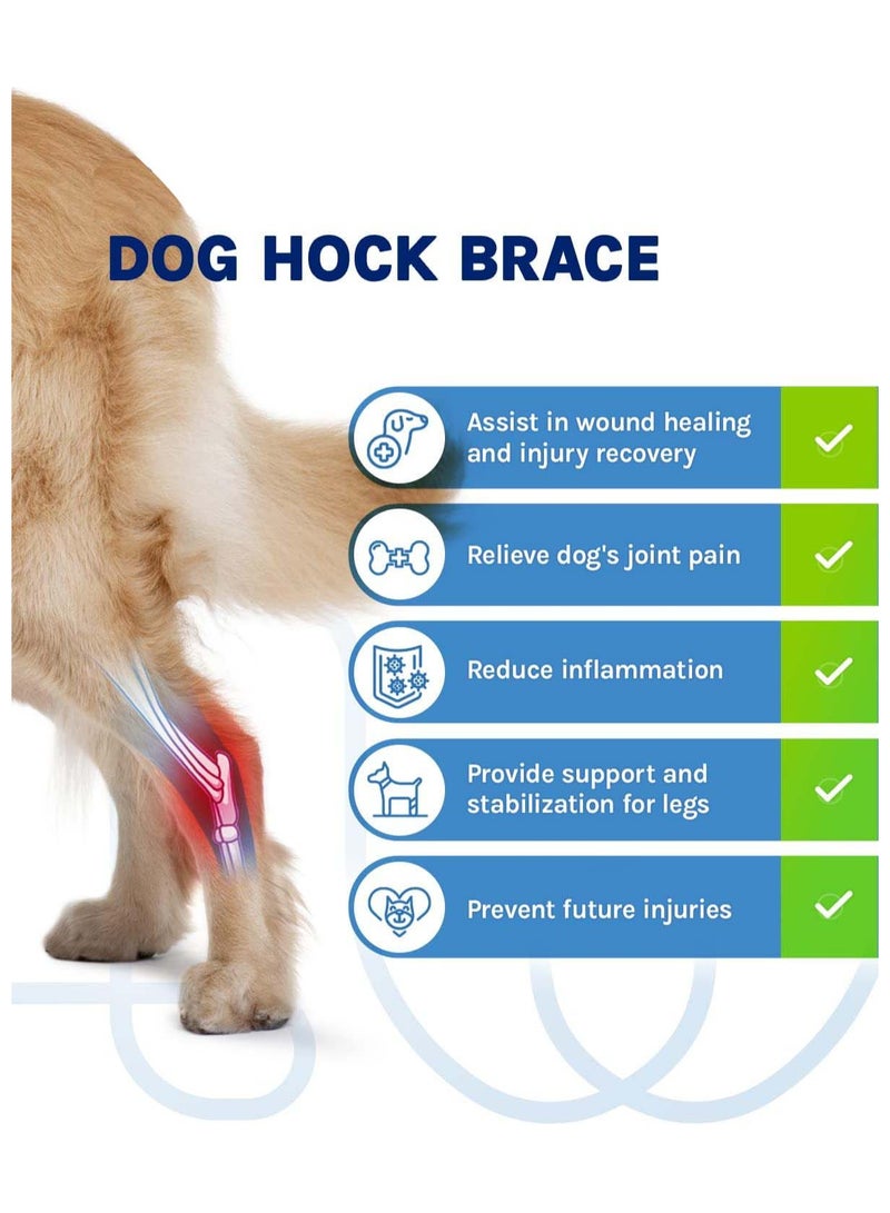 SOLARAE 1 Pair Dog Canine Front Leg Brace for Rear Hock Ankle Canine Hind Leg Joint Compression Wrap for Torn ACL CCL Injury and Sprain Protection Wound Care and Loss of Stability Size Large - Image 2